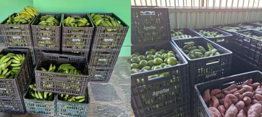 WhatsApp Image 2025-10-13 at 09.00.43