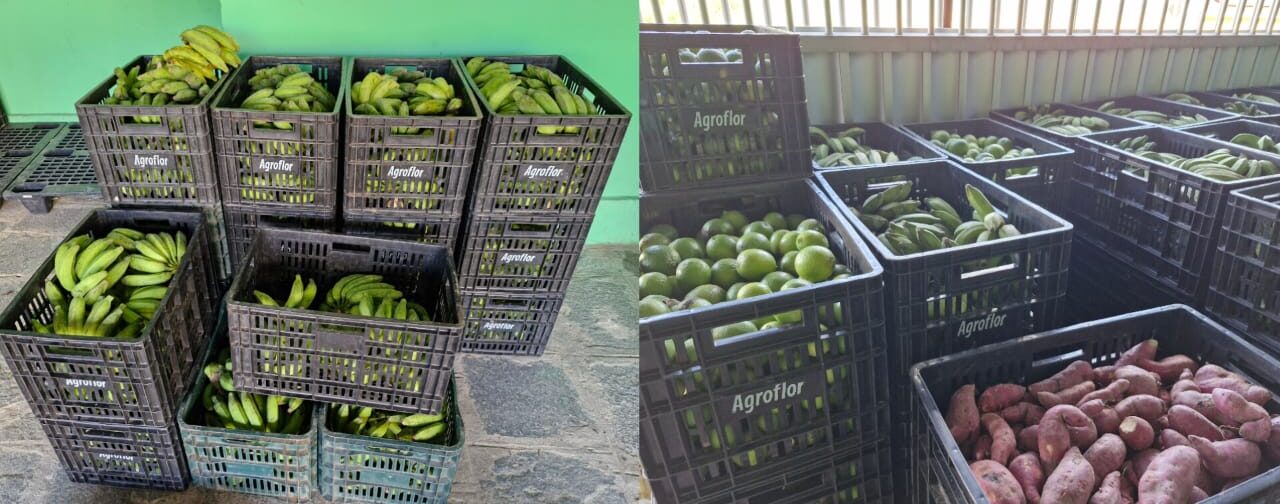 Agroflor destina 66,5 toneladas de alimentos ao Programa de Aquisição de Alimentos (PAA) no ciclo 2023/2024.